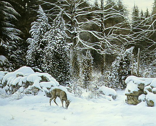 Galleri1