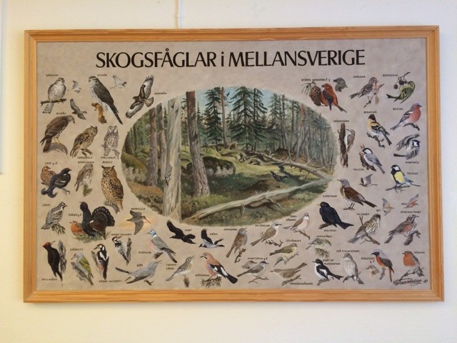 Galleri1