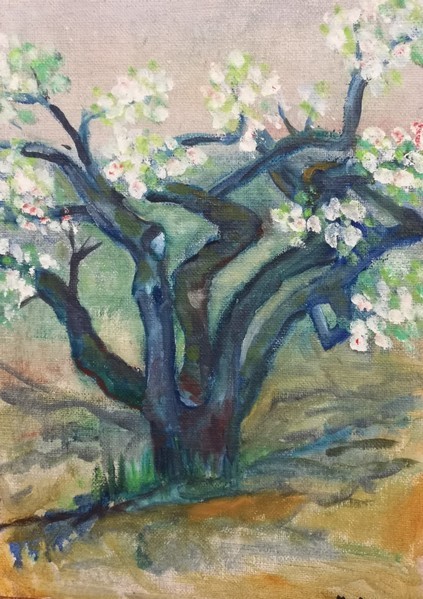 Galleri1
